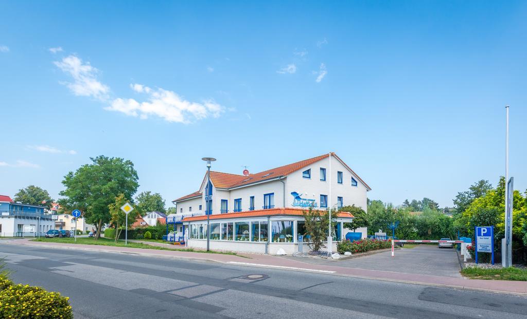 Haffidyll Garni Hotell Rerik Exteriör bild